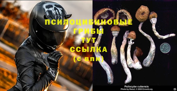 spice Покровск