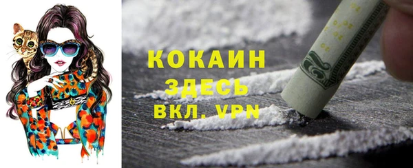 спайс Арсеньев