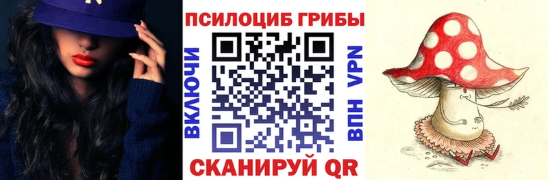 купить закладку  Новокубанск  Псилоцибиновые грибы MAGIC MUSHROOMS 